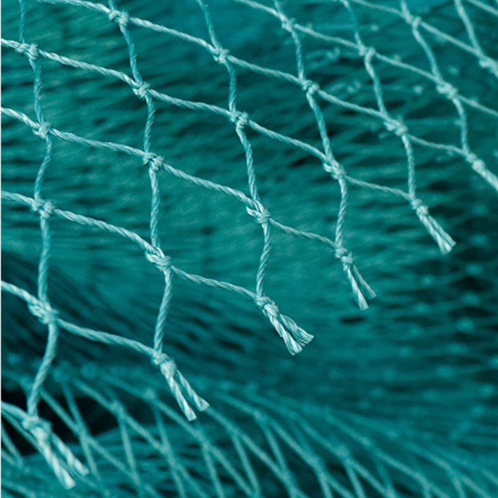 단단한 안티 버드 그물 정원 그물 및 작물 보호 펜싱  - Fishing Equipment Net 리뷰 및 가격